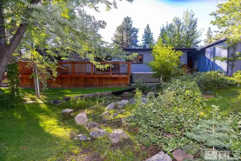 back yard looking towards back of the house