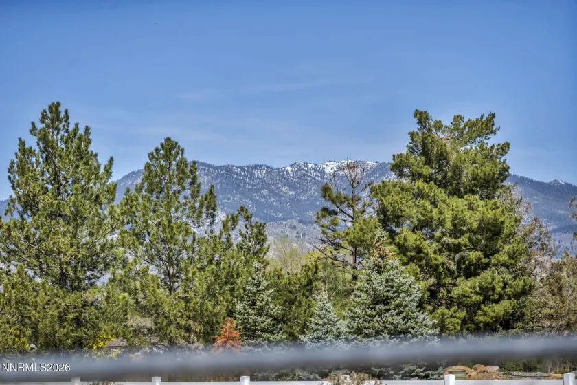 1355 Jackie, Minden, Nevada 89423, 3 Bedrooms Bedrooms, ,2 BathroomsBathrooms,Residential,Residential,Jackie,260004868