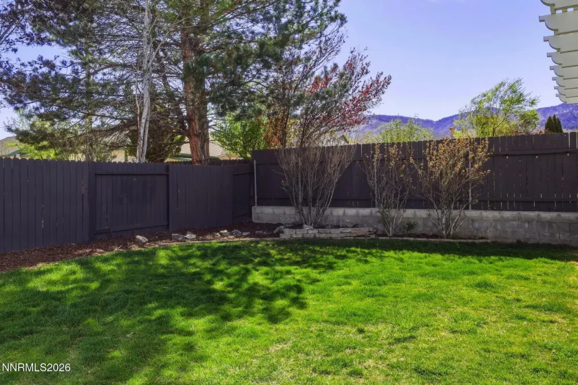 1743 Desert Peach, Carson City, Nevada 89703, 4 Bedrooms Bedrooms, ,2 BathroomsBathrooms,Residential,Residential,Desert Peach,260004871