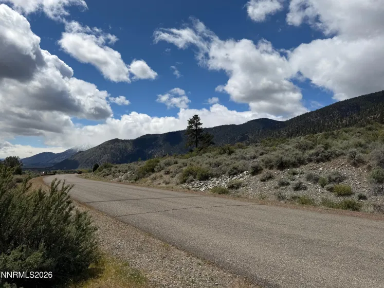 2527 Eagle Ridge, Genoa, Nevada 89411, ,Land,Residential,Eagle Ridge,260004888
