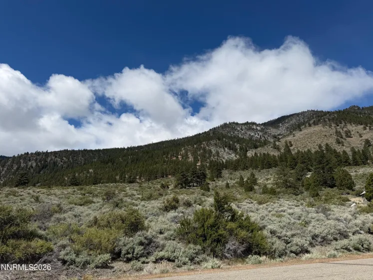 2527 Eagle Ridge, Genoa, Nevada 89411, ,Land,Residential,Eagle Ridge,260004888