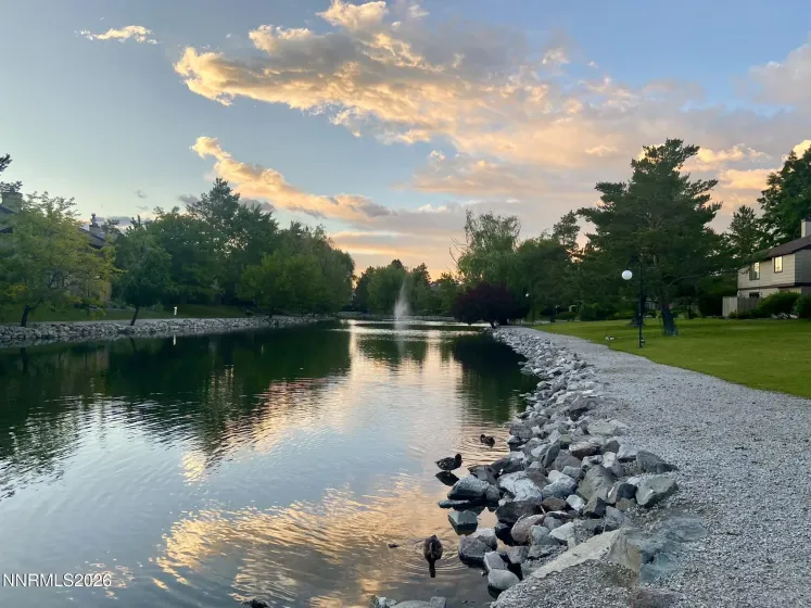 4557 Reggie, Reno, Nevada 89502, 2 Bedrooms Bedrooms, ,2 BathroomsBathrooms,Residential,Residential,Reggie,260004880