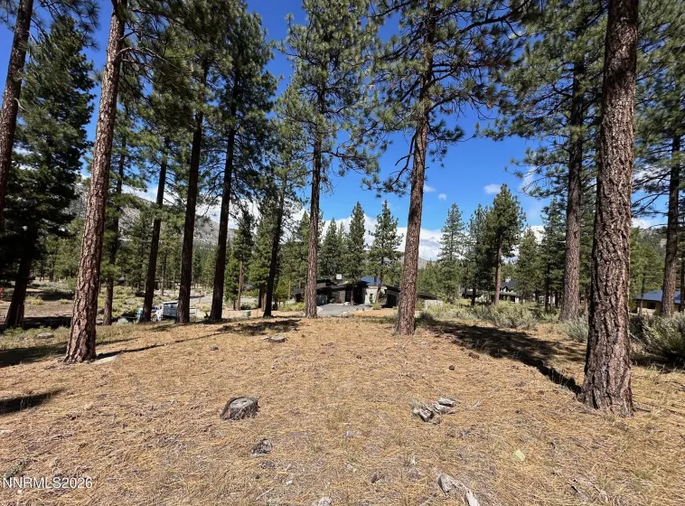 274 Redding, Carson City, Nevada 89705, ,Land,Residential,Redding,260004898