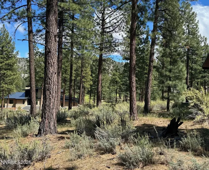 274 Redding, Carson City, Nevada 89705, ,Land,Residential,Redding,260004898