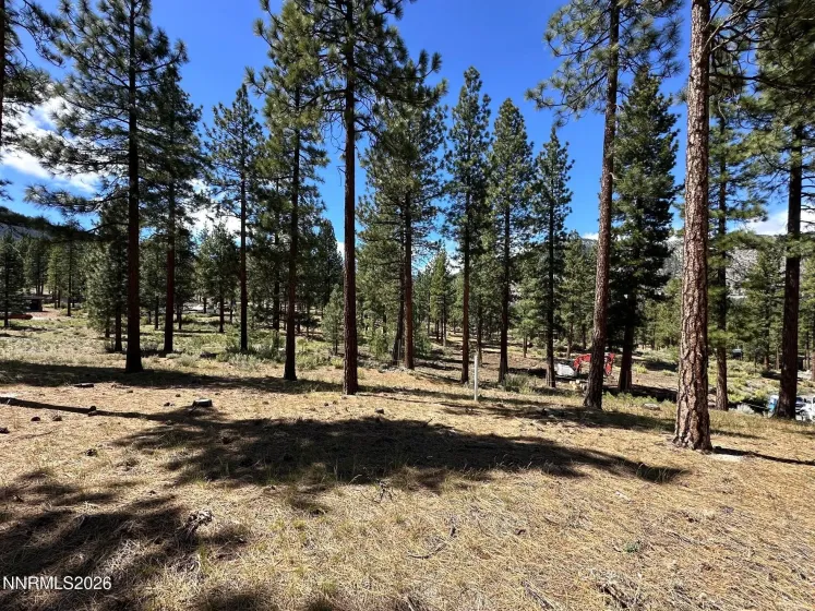 274 Redding, Carson City, Nevada 89705, ,Land,Residential,Redding,260004898