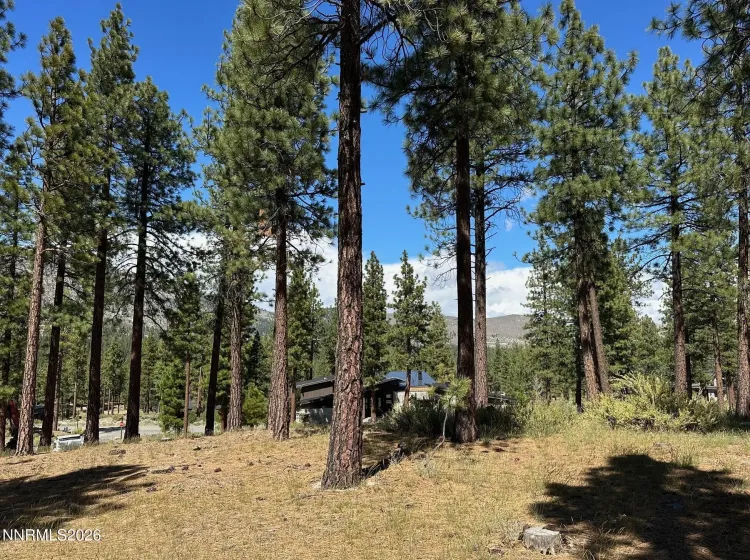 274 Redding, Carson City, Nevada 89705, ,Land,Residential,Redding,260004898