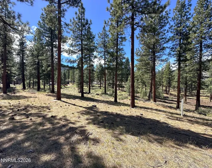 274 Redding, Carson City, Nevada 89705, ,Land,Residential,Redding,260004898