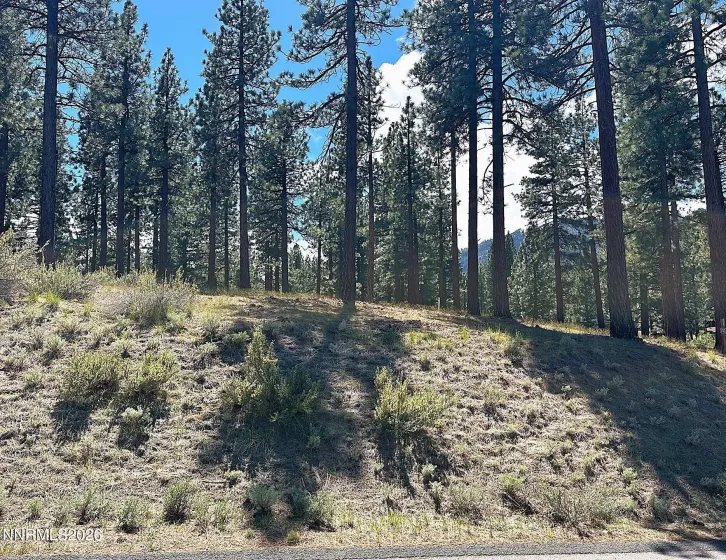 274 Redding, Carson City, Nevada 89705, ,Land,Residential,Redding,260004898