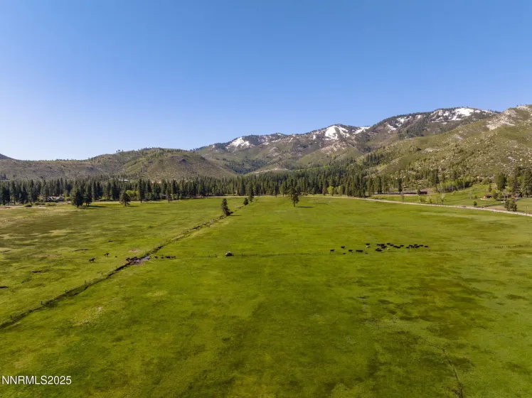 05 Franktown Rd, Washoe Valley, Nevada 89704, ,Land,Residential,Franktown Rd,250054495