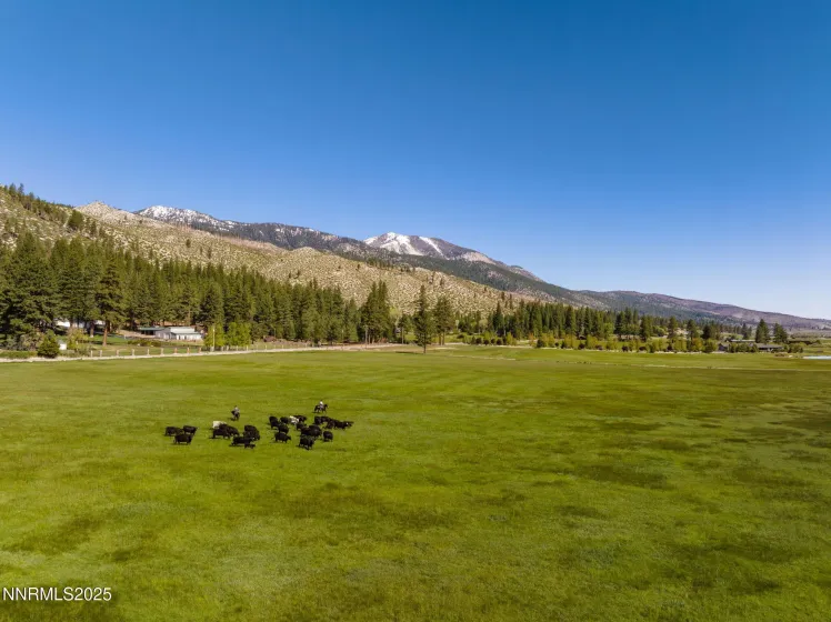 05 Franktown Rd, Washoe Valley, Nevada 89704, ,Land,Residential,Franktown Rd,250054495