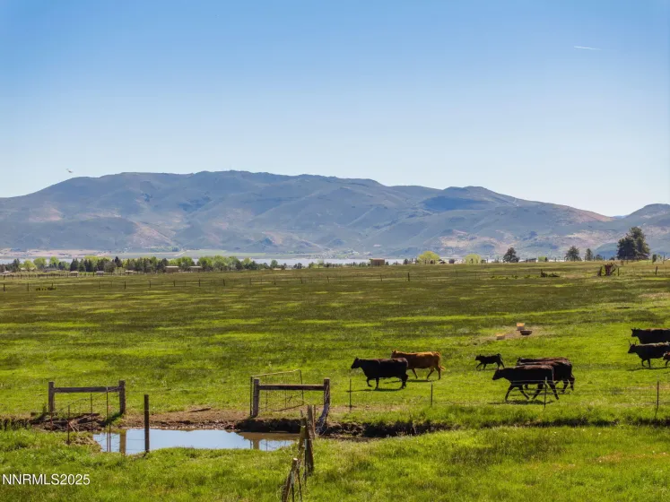 05 Franktown Rd, Washoe Valley, Nevada 89704, ,Land,Residential,Franktown Rd,250054495
