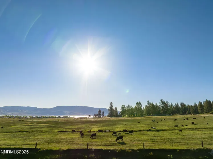 05 Franktown Rd, Washoe Valley, Nevada 89704, ,Land,Residential,Franktown Rd,250054495