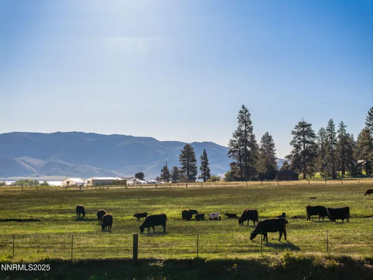 05 Franktown Rd, Washoe Valley, Nevada 89704, ,Land,Residential,Franktown Rd,250054495