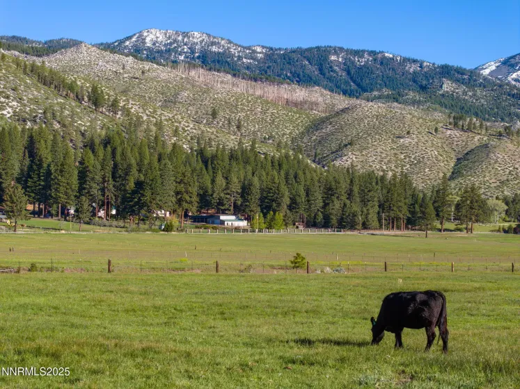 05 Franktown Rd, Washoe Valley, Nevada 89704, ,Land,Residential,Franktown Rd,250054495