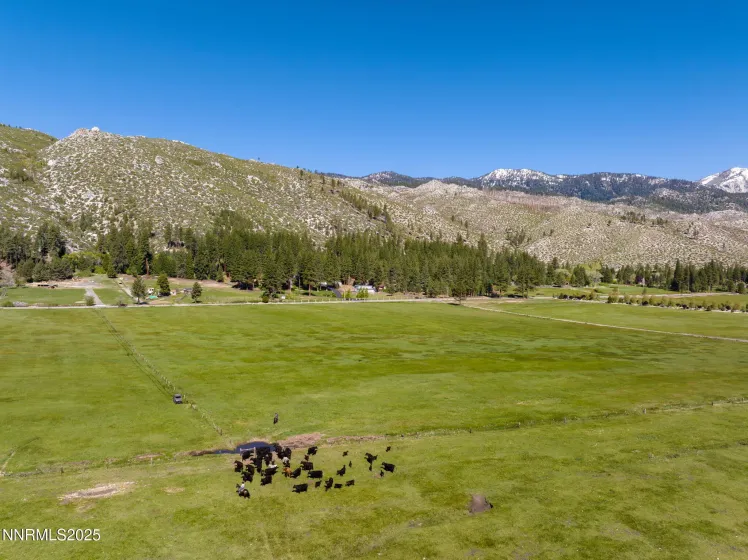 05 Franktown Rd, Washoe Valley, Nevada 89704, ,Land,Residential,Franktown Rd,250054495