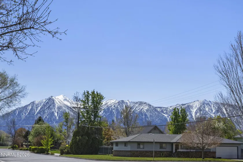 1532 & 1534 County, Minden, Nevada 89423, ,Commercial Sale,Residential,County,260004936