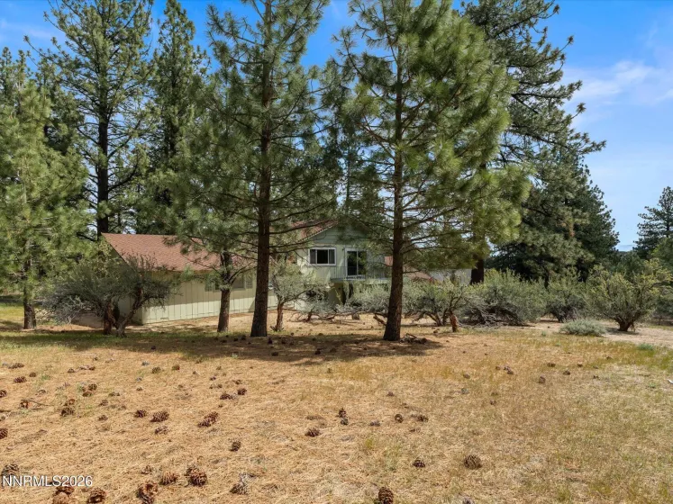 4301 Meadow Wood, Carson City, Nevada 89703, 3 Bedrooms Bedrooms, ,3 BathroomsBathrooms,Residential,Residential,Meadow Wood,260004985
