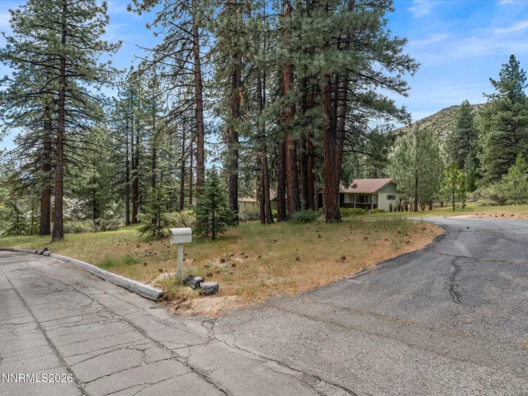 4301 Meadow Wood, Carson City, Nevada 89703, 3 Bedrooms Bedrooms, ,3 BathroomsBathrooms,Residential,Residential,Meadow Wood,260004985