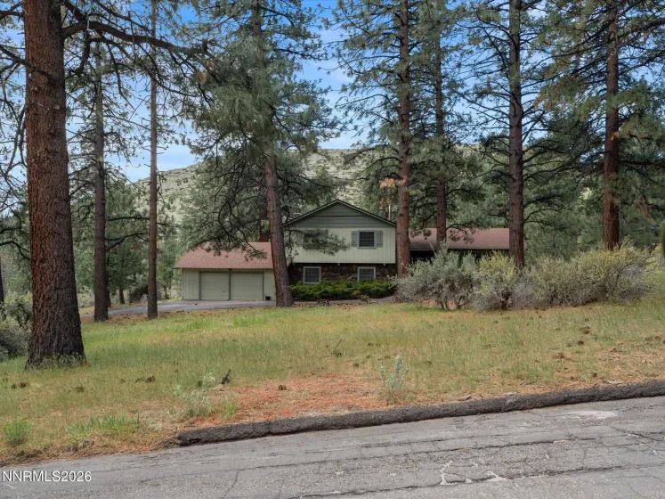 4301 Meadow Wood, Carson City, Nevada 89703, 3 Bedrooms Bedrooms, ,3 BathroomsBathrooms,Residential,Residential,Meadow Wood,260004985