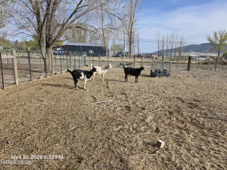 7100 Deer, Winnemucca, Nevada 89445, 2 Bedrooms Bedrooms, ,2 BathroomsBathrooms,Residential,Residential,Deer,260005035