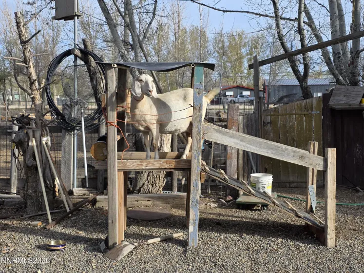 7100 Deer, Winnemucca, Nevada 89445, 2 Bedrooms Bedrooms, ,2 BathroomsBathrooms,Residential,Residential,Deer,260005035