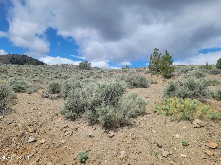 0 Highway 341, Silver City, Nevada 89428, ,Land,Residential,Highway 341,260005041