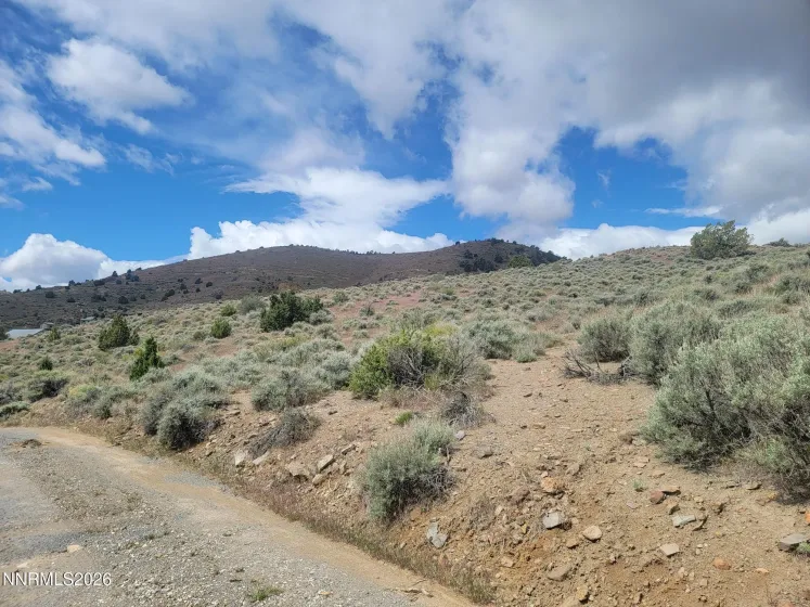 0 Highway 341, Silver City, Nevada 89428, ,Land,Residential,Highway 341,260005041