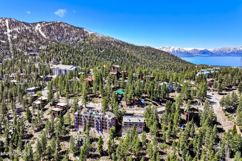 261 Quaking Aspen, Stateline, Nevada 89449, 3 Bedrooms Bedrooms, ,2 BathroomsBathrooms,Residential,Residential,Quaking Aspen,260005080