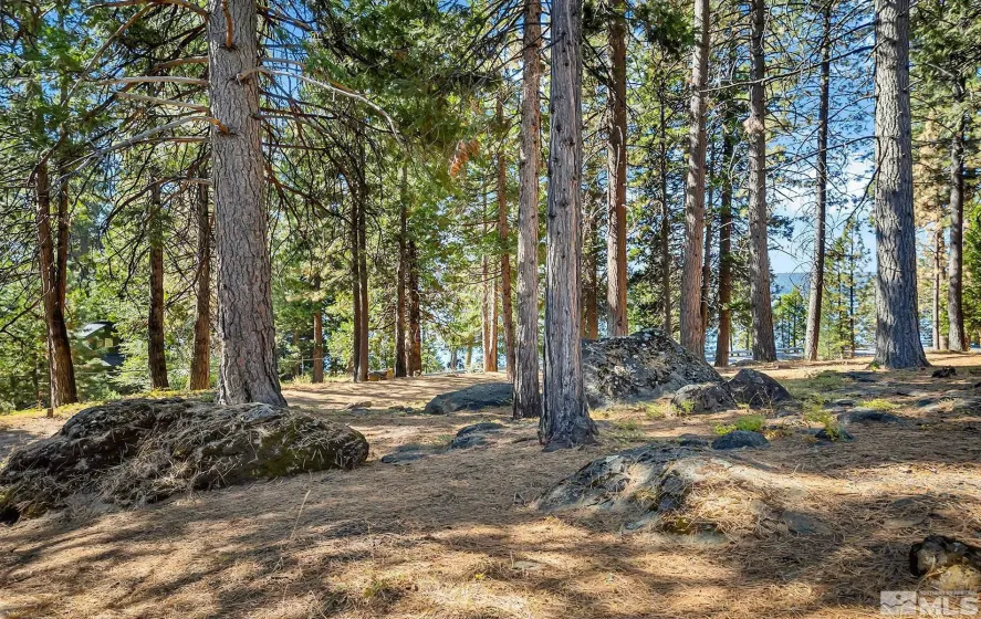 6545 Dyer, East Shore, California 96137, 4 Bedrooms Bedrooms, ,4 BathroomsBathrooms,Residential,Residential,Dyer,260005082