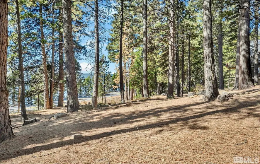 6545 Dyer, East Shore, California 96137, 4 Bedrooms Bedrooms, ,4 BathroomsBathrooms,Residential,Residential,Dyer,260005082