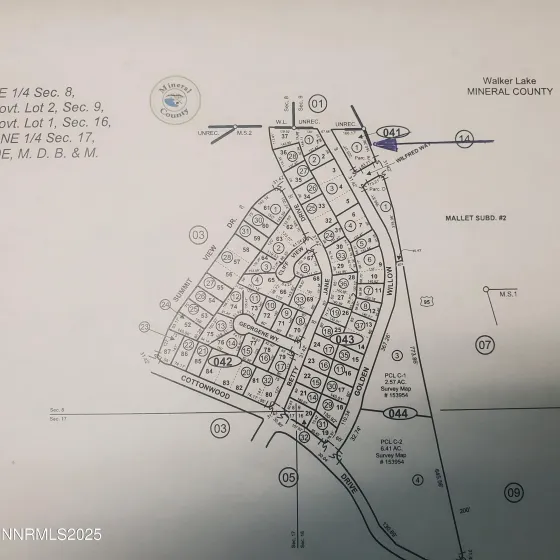 386 Golden Willow, Walker Lake, Nevada 89415, ,Land,Residential,Golden Willow,250056176