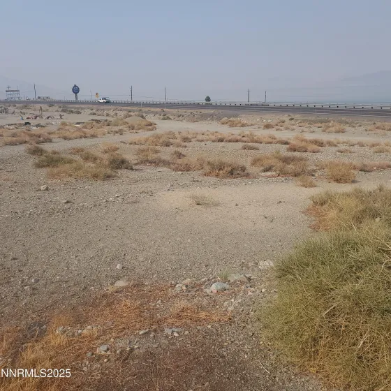 386 Golden Willow, Walker Lake, Nevada 89415, ,Land,Residential,Golden Willow,250056176