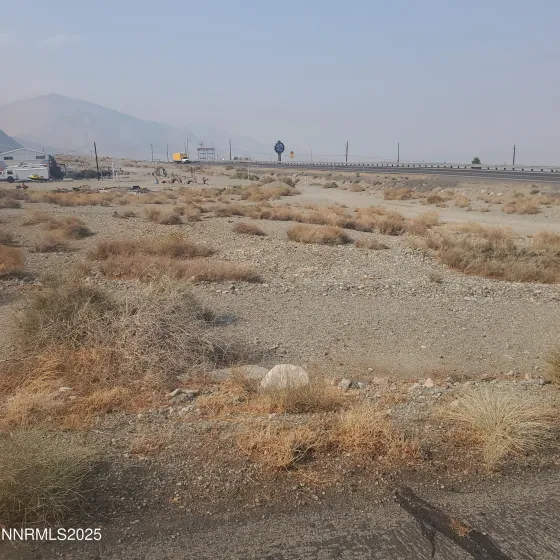 386 Golden Willow, Walker Lake, Nevada 89415, ,Land,Residential,Golden Willow,250056176