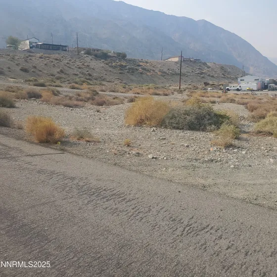 386 Golden Willow, Walker Lake, Nevada 89415, ,Land,Residential,Golden Willow,250056176