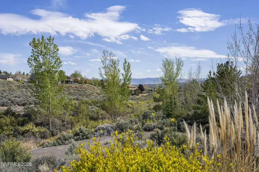 2900 Moose Ridge, Reno, Nevada 89523, 3 Bedrooms Bedrooms, ,2 BathroomsBathrooms,Residential,Residential,Moose Ridge,260005121