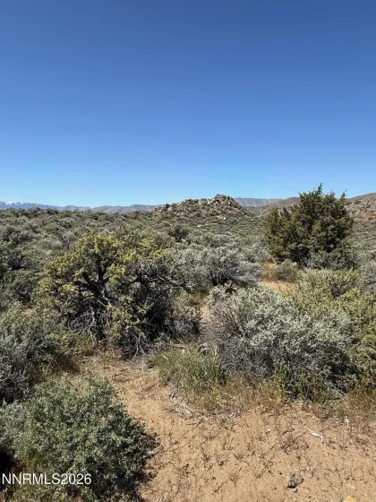 1325 Antelope Valley, Reno, Nevada 89506, ,Land,Residential,Antelope Valley,260005140