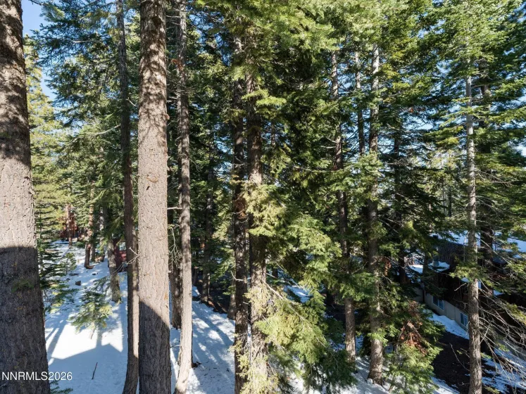 1021 Dorcey, Incline Village, Nevada 89451, 4 Bedrooms Bedrooms, ,3 BathroomsBathrooms,Residential,Residential,Dorcey,260005143