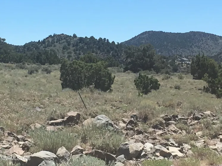 4270 Overland, Reno, Nevada 89521, ,Land,Residential,Overland,260005150
