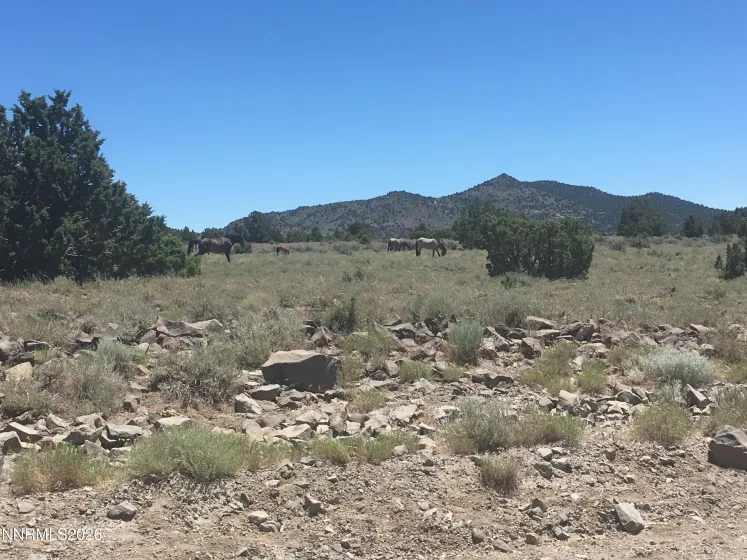 4270 Overland, Reno, Nevada 89521, ,Land,Residential,Overland,260005150