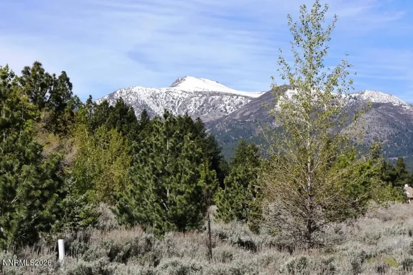 5380 Double Creek, Reno, Nevada 89511, ,Land,Residential,Double Creek,260005166