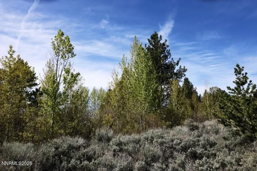 5380 Double Creek, Reno, Nevada 89511, ,Land,Residential,Double Creek,260005166