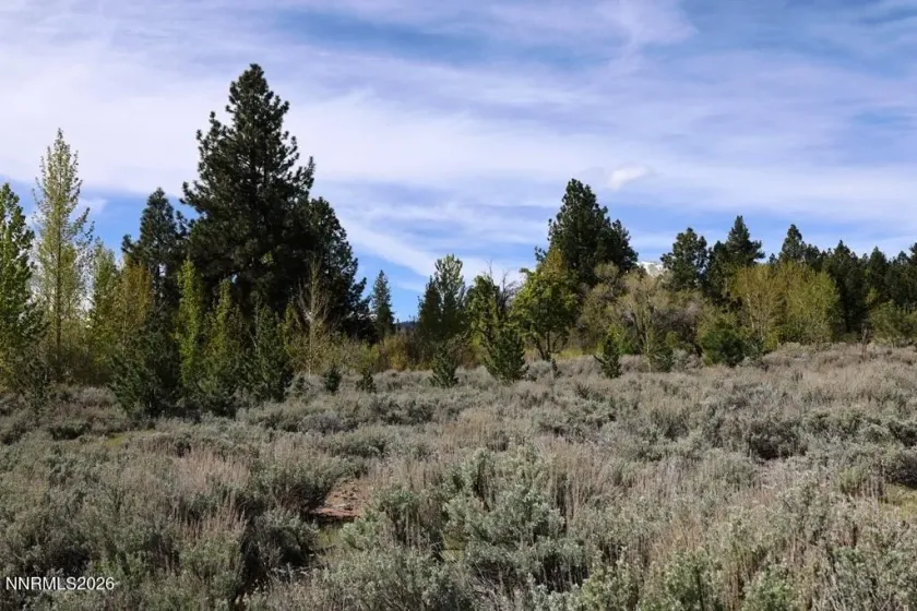 5380 Double Creek, Reno, Nevada 89511, ,Land,Residential,Double Creek,260005166