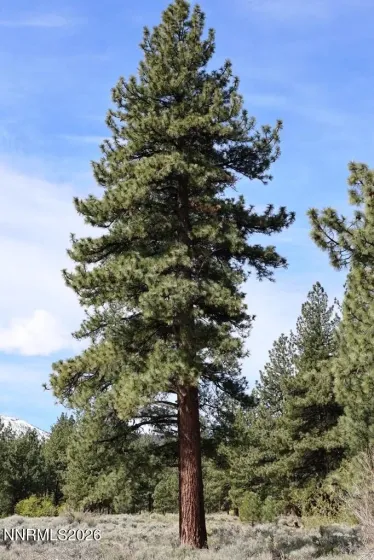 5380 Double Creek, Reno, Nevada 89511, ,Land,Residential,Double Creek,260005166