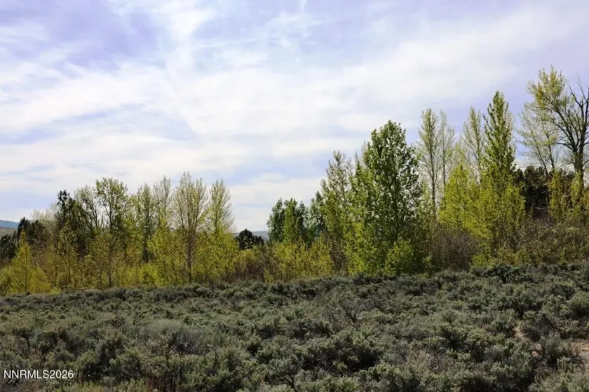 5380 Double Creek, Reno, Nevada 89511, ,Land,Residential,Double Creek,260005166