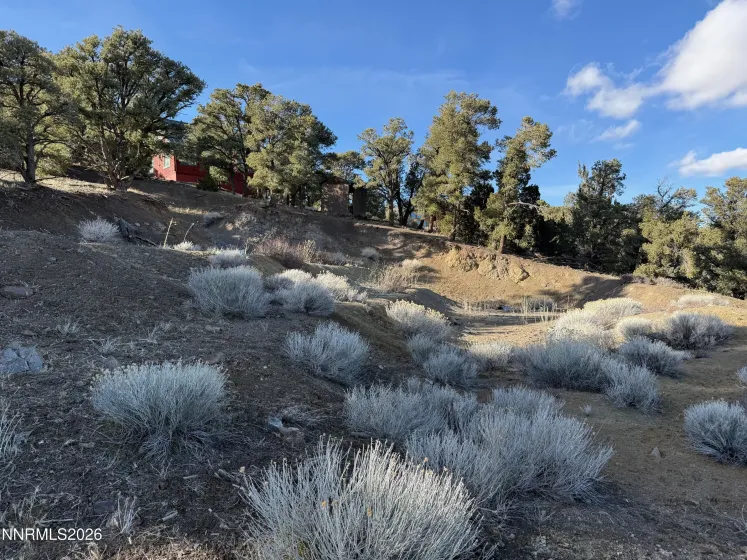 1810 Harte, Reno, Nevada 89521, ,Land,Residential,Harte,260001725