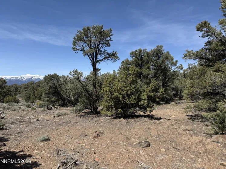 1330 Yellow Jacket, Reno, Nevada 89521, ,Land,Residential,Yellow Jacket,260005185