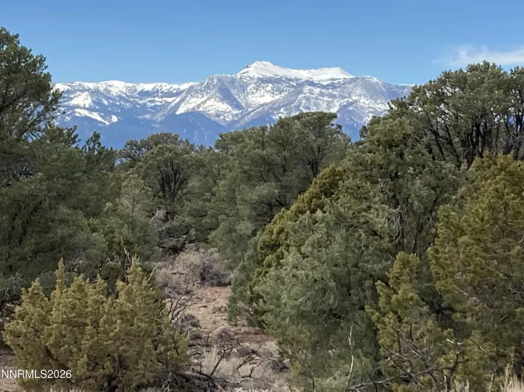 1330 Yellow Jacket, Reno, Nevada 89521, ,Land,Residential,Yellow Jacket,260005185