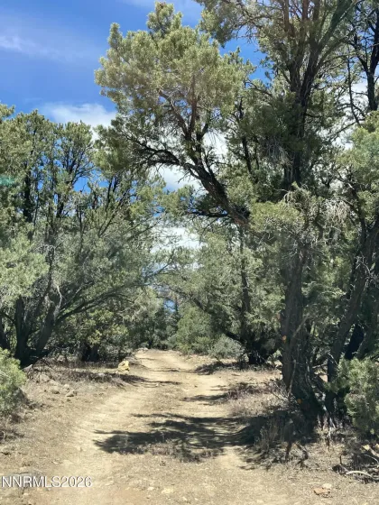 1330 Yellow Jacket, Reno, Nevada 89521, ,Land,Residential,Yellow Jacket,260005185