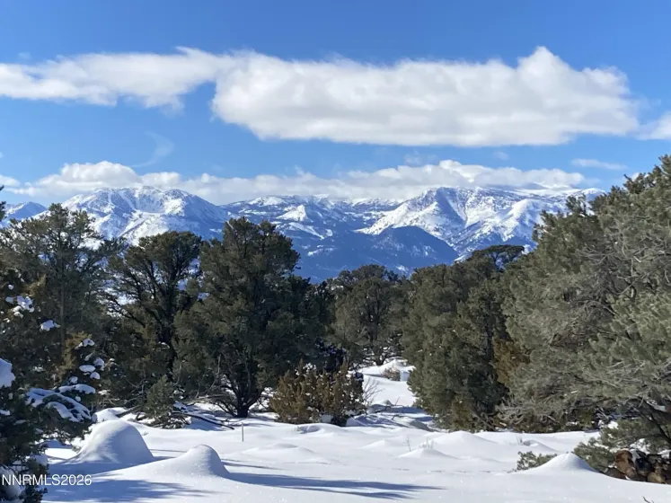 1330 Yellow Jacket, Reno, Nevada 89521, ,Land,Residential,Yellow Jacket,260005185