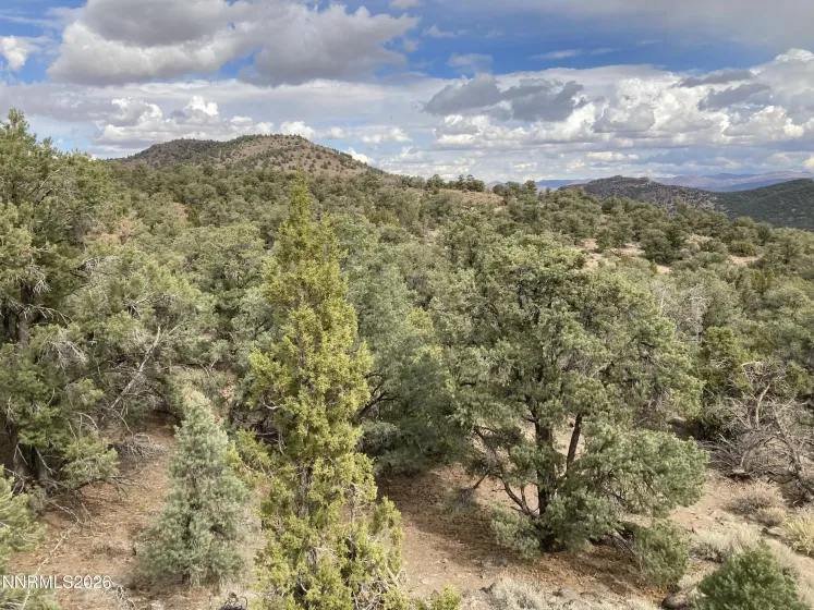 1330 Yellow Jacket, Reno, Nevada 89521, ,Land,Residential,Yellow Jacket,260005185